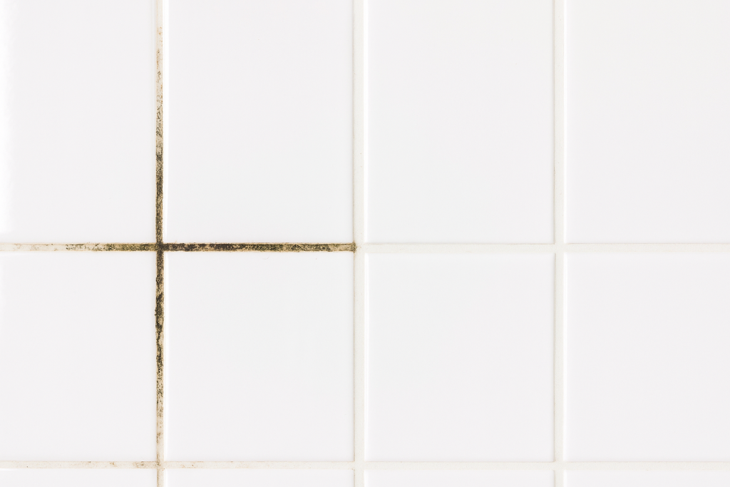 20250825_1654_Плитка с плесневыми швами_remix_01k3gqz4ywegqrsjg5sdey6kyb.png 20250825_1654_Плитка с плесневыми швами_remix_01k3gqz4ywegqrsjg5sdey6kyb.png