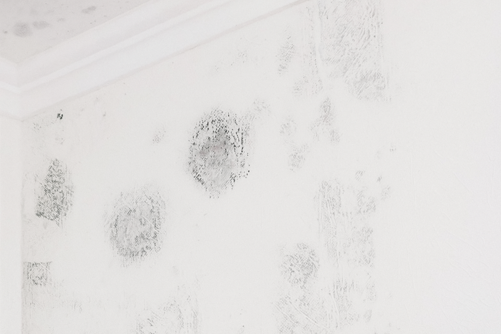 20251023_0847_Белые стены с плесенью_remix_01k87smdzwewc887s75zaey51w (1).png